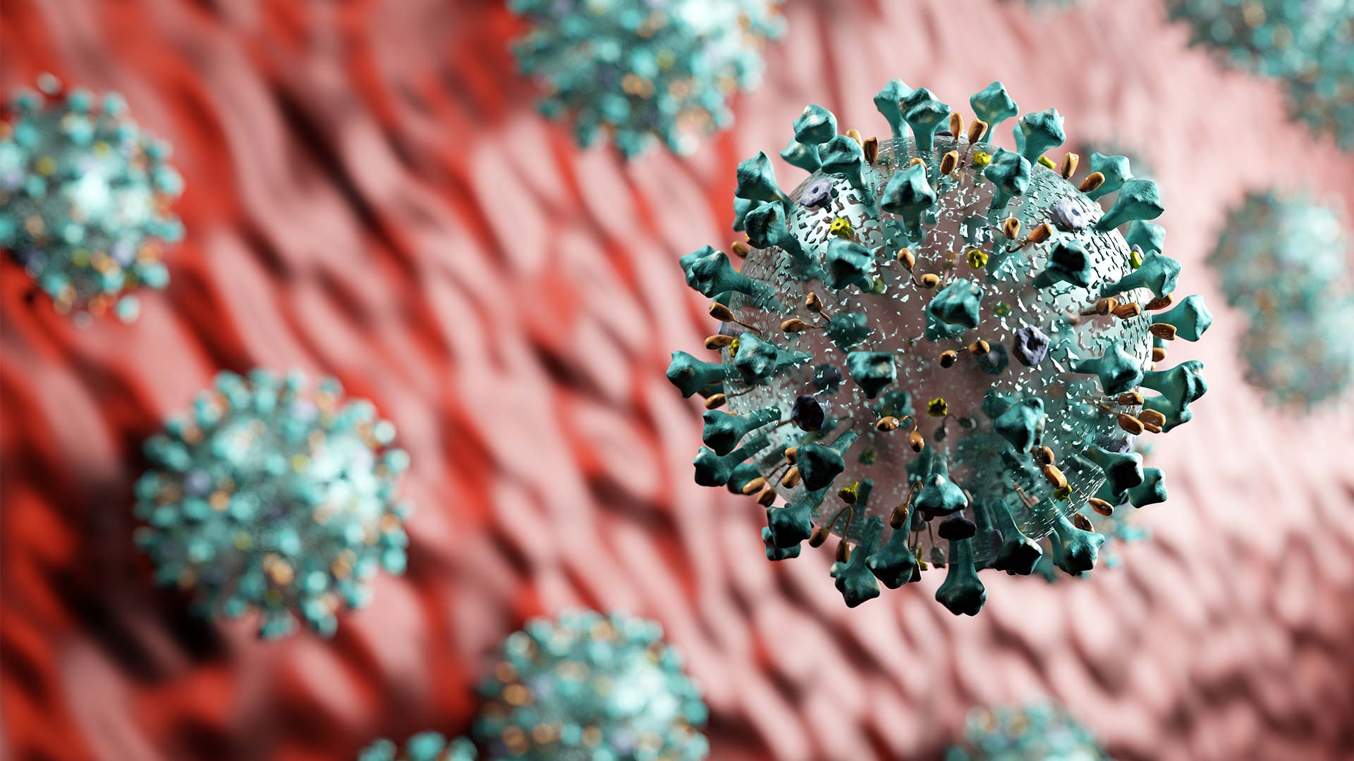 apic covid19 aviso jpg